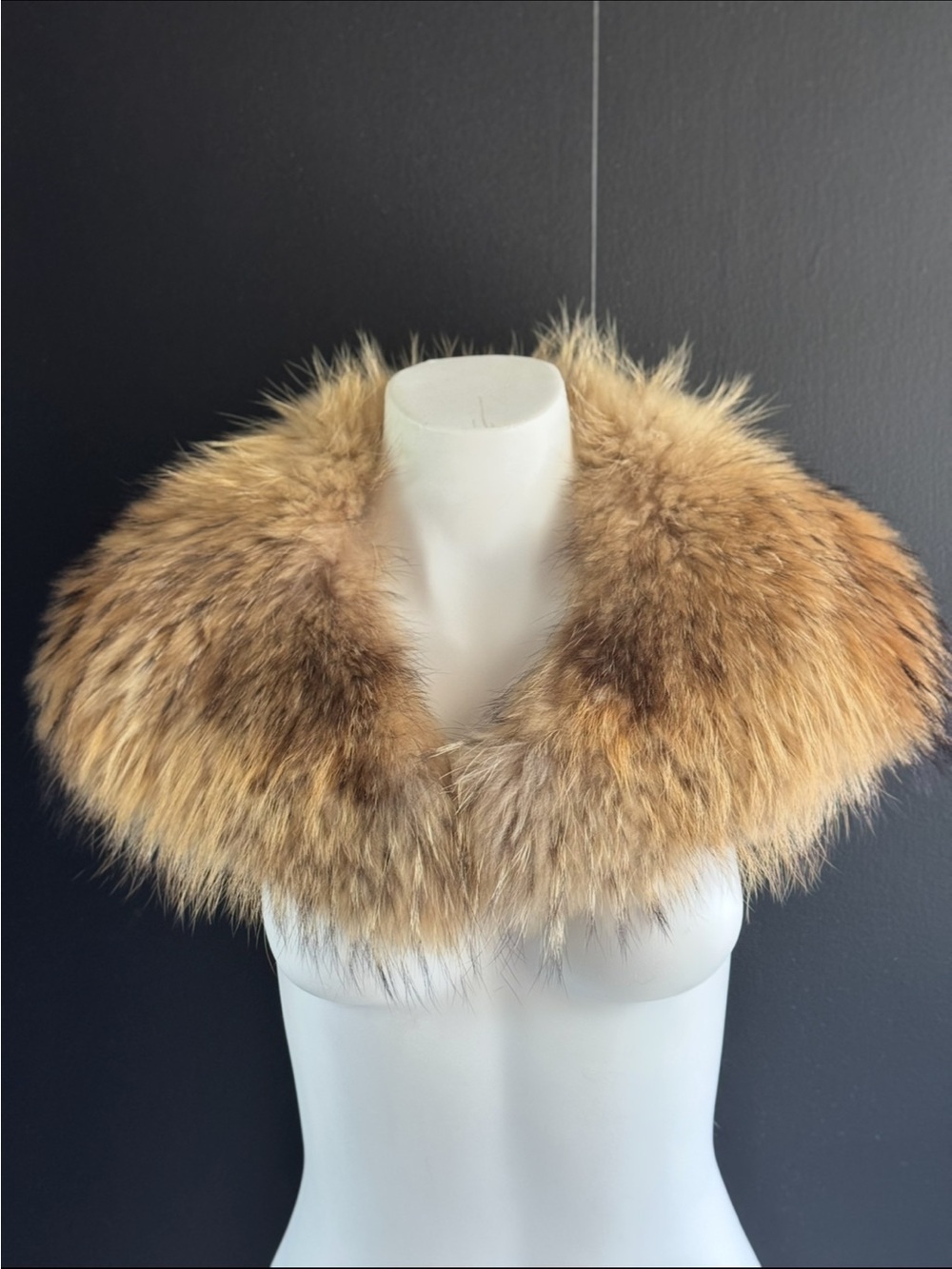 Luxurious Brown Fur Collar Scarf - Women Accessories